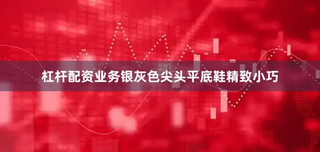 杠杆配资业务银灰色尖头平底鞋精致小巧