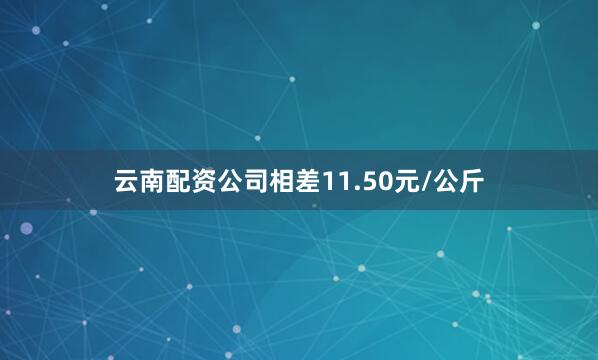 云南配资公司相差11.50元/公斤