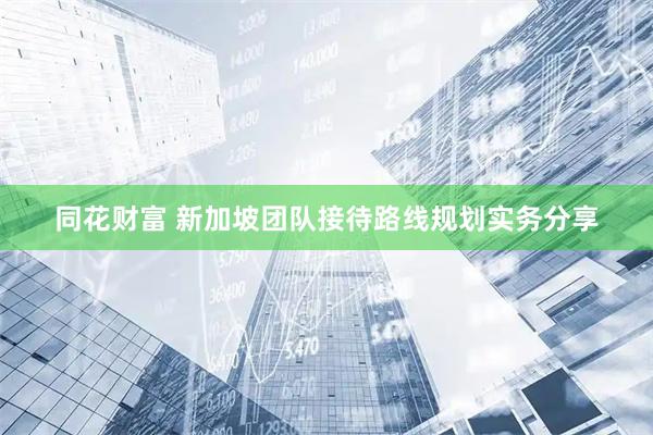 同花财富 新加坡团队接待路线规划实务分享