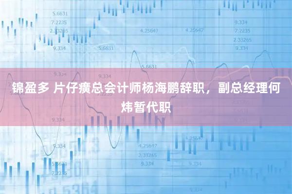 锦盈多 片仔癀总会计师杨海鹏辞职，副总经理何炜暂代职