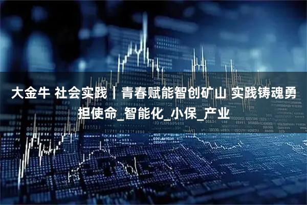 大金牛 社会实践｜青春赋能智创矿山 实践铸魂勇担使命_智能化_小保_产业