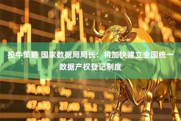 投牛策略 国家数据局局长：将加快建立全国统一数据产权登记制度