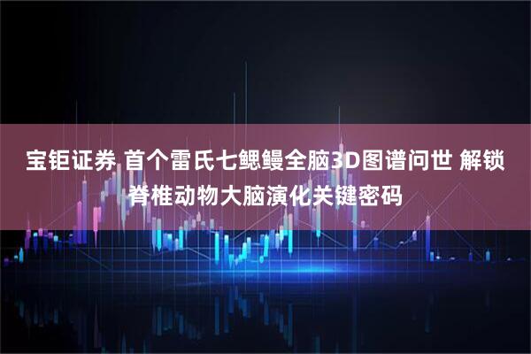 宝钜证券 首个雷氏七鳃鳗全脑3D图谱问世 解锁脊椎动物大脑演化关键密码